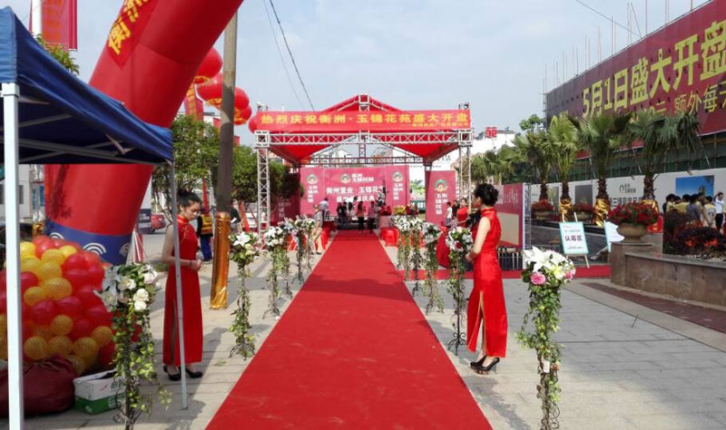 ���\��Է�_(k��i)�P(p��n)